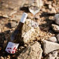 Winelovers Selection borok