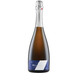 Bujdosó Blanc de Noirs Brut 2018 (0,75l)