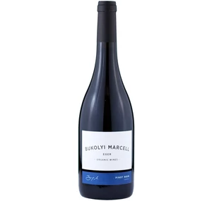 Bukolyi Marcell Pinot Noir Nature 2020 (BIO)