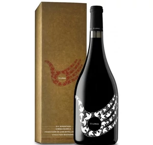 Grillo y La Luna 12 Lunas Tinto Magnum 2019 Grillo y La Luna 12 Lunas Tinto Magnum 2019