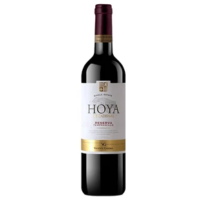 Vicente Gandia Hoya de Cadenas Tempranillo Reserva 2019 (0,75l)