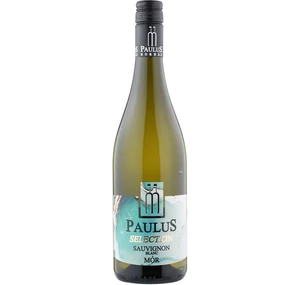 Paulus Sauvignon Blanc selection 2022