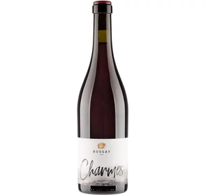 Bussay Charmes Pinot Noir 2021