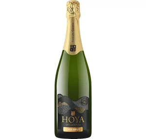 Vicente Gandia Hoya de Cadenas Cava Brut (V)