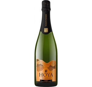 Vicente Gandia Hoya de Cadenas Cava Brut Nature (V)
