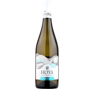 Vicente Gandia Hoya de Cadenas Chardonnay 2023  (utolsó 3db)