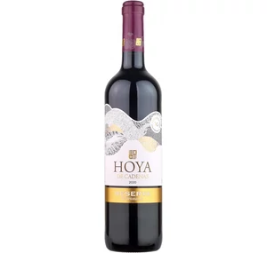 Vicente Gandia Hoya de Cadenas Tempranillo Reserva 2020 (0,75l)