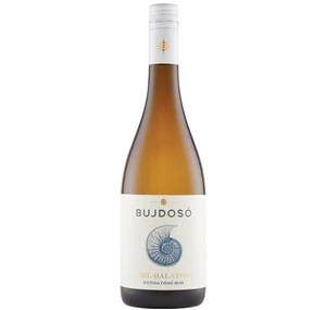 Bujdosó Gyöngyözőbor 2024 (V)