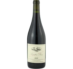 Szentesi Pinot Noir 2021 (V) (0,75l)