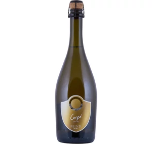 Feind Coupé Extra Dry (V) (0,75l)