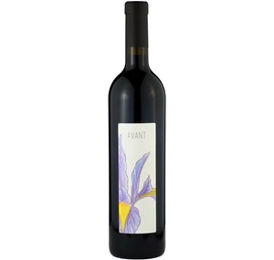 Dániel Pince Avant 2016 (0,75l) Dániel Pince Avant 2016 (0,75l)