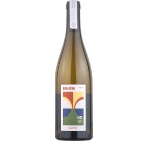 Gilvesy Bohém  NAT-TY 2023 (V) 