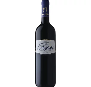 Mayer Kopár 2019