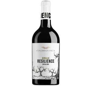 Colomba Bianca Resilience Grillo 2024
