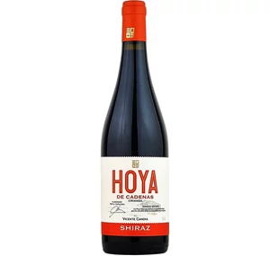 Vicente Gandia Hoya de Cadenas Shiraz Crianza 2023