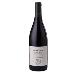 Domaine Chanson Bourgogne Pinot Noir 2022