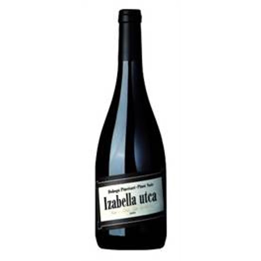 Dobogó Izabella utca Pinot Noir 2013 (0,75l)