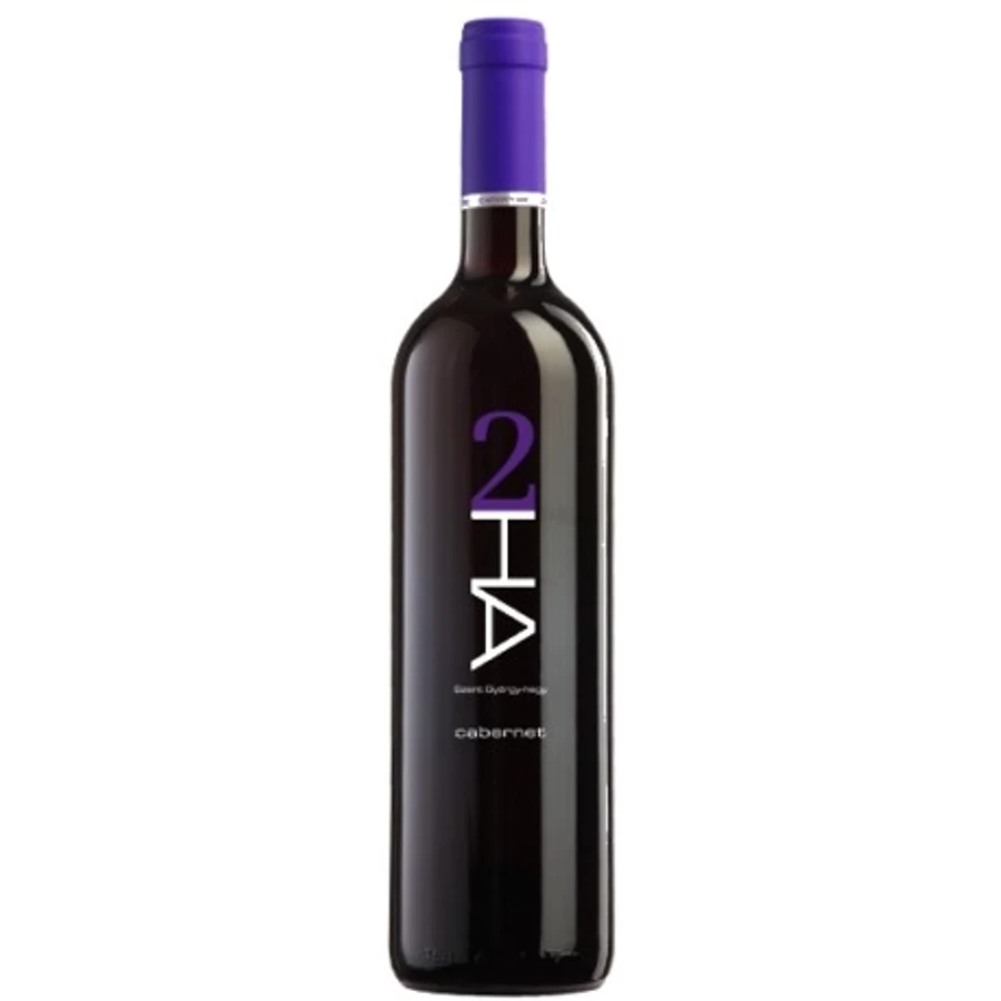 2HA Cabernet 2019 (utolsó 1db)