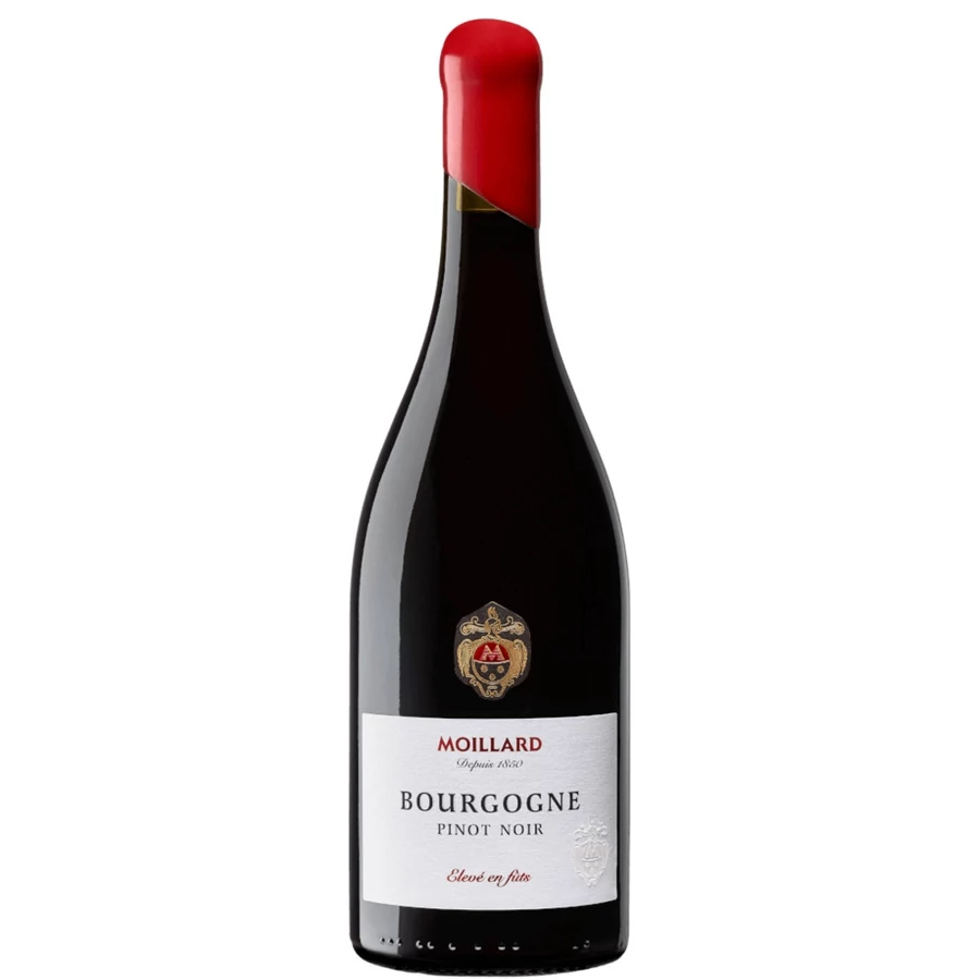 Moillard Pinot Noir Elevé en futs 2020