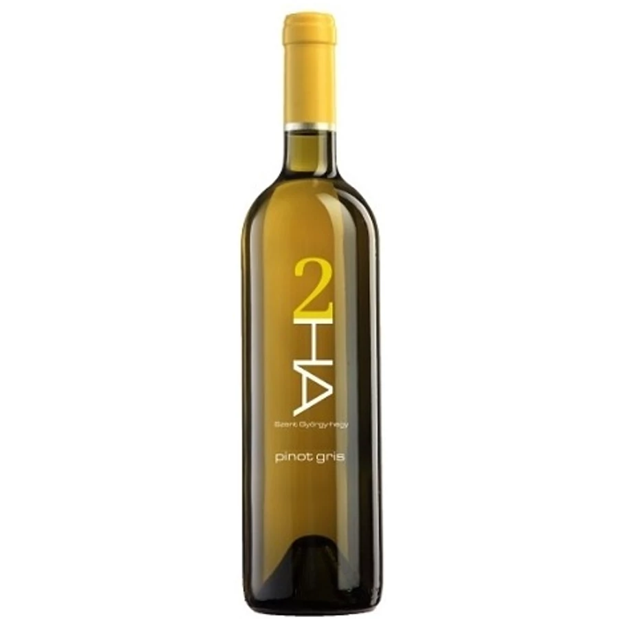 2HA Szent György-hegyi Pinot Gris Orange 2022 (utplsó 3db)