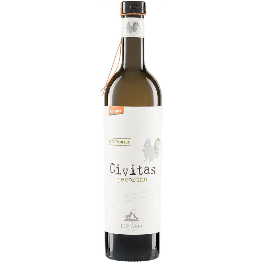 Orsogna Civitas Pecorino 2024 (V)