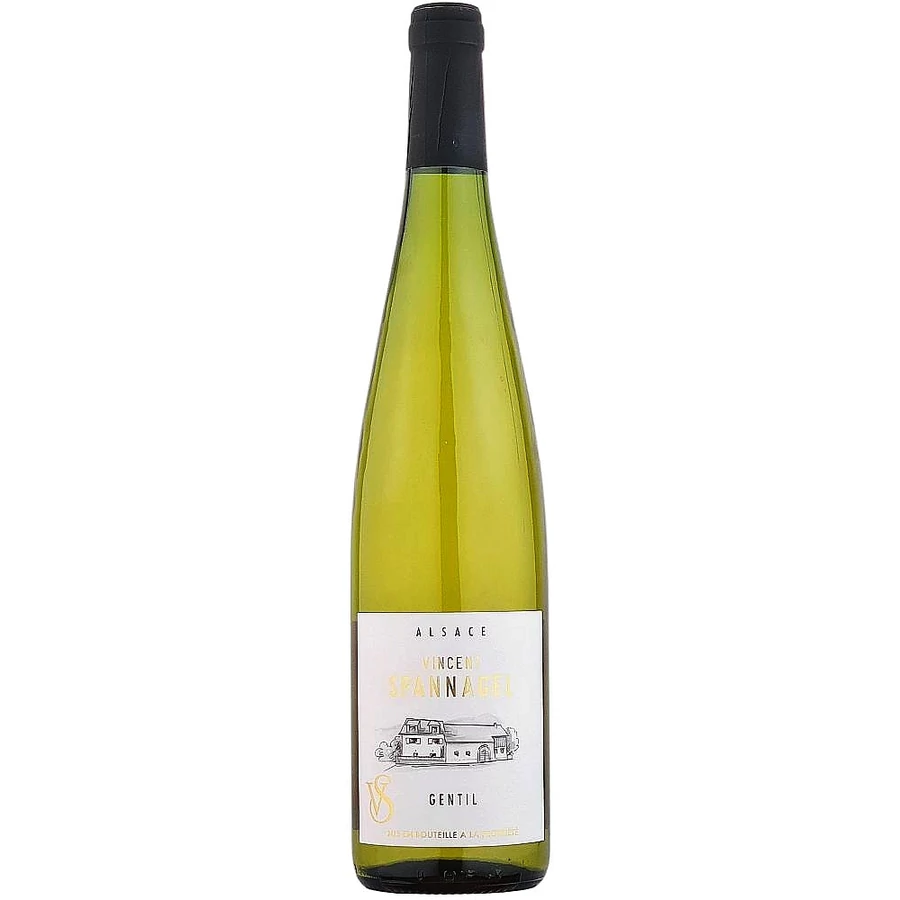 Vincent Spannagel Gentil d'Alsace 2024