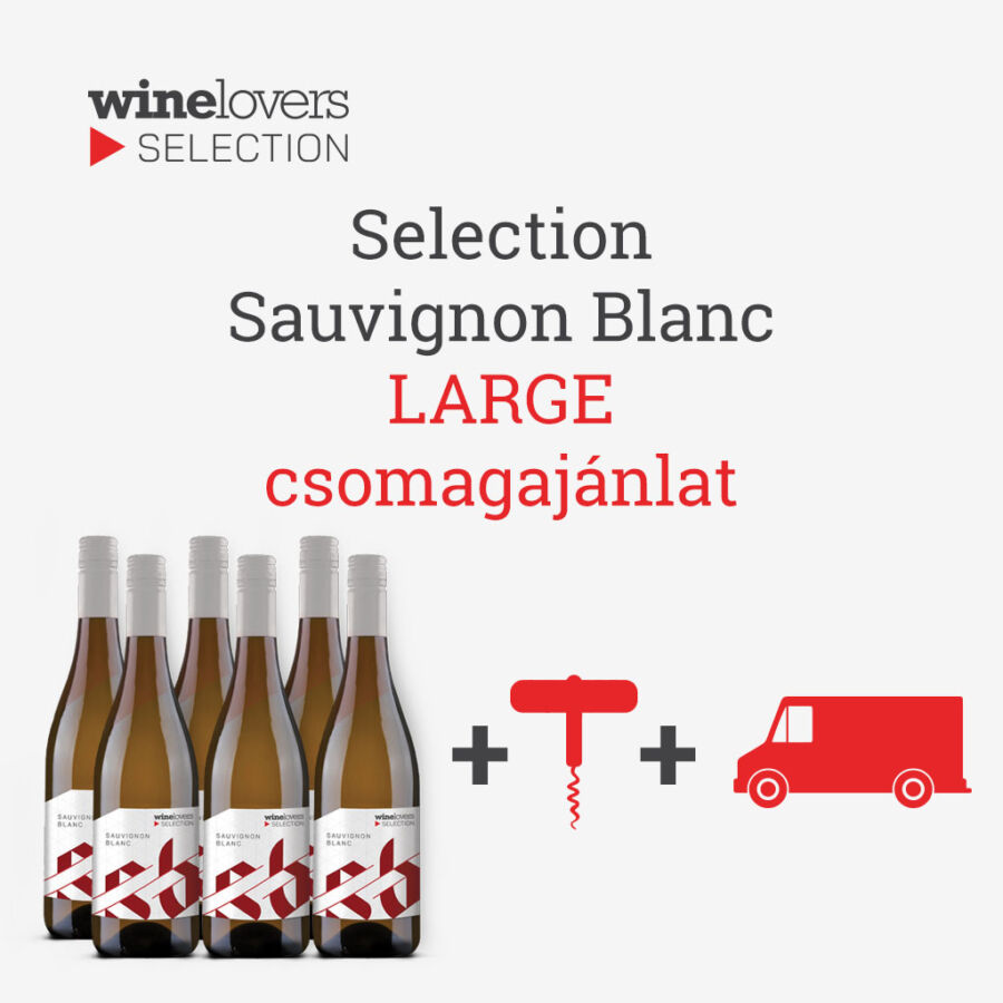 Winelovers Selection Large (6x0,75l)